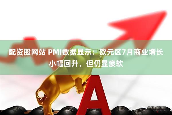 配资股网站 PMI数据显示：欧元区7月商业增长小幅回升，但仍显疲软