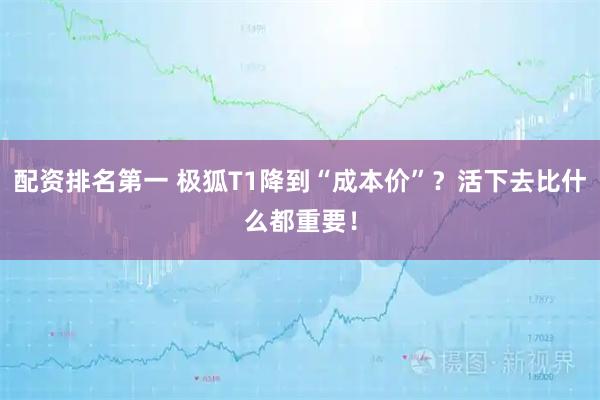 配资排名第一 极狐T1降到“成本价”？活下去比什么都重要！