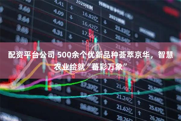 配资平台公司 500余个优新品种荟萃京华，智慧农业绘就“蕃彩万象”