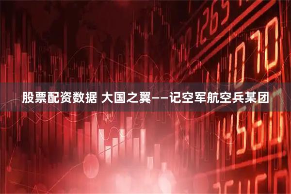 股票配资数据 大国之翼——记空军航空兵某团