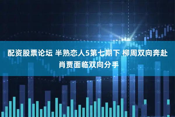 配资股票论坛 半熟恋人5第七期下 柳周双向奔赴 肖贾面临双向分手